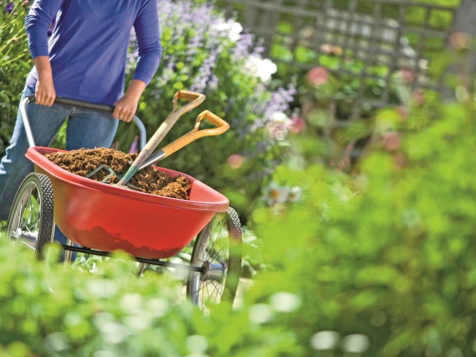 How to keep your home garden healthy?